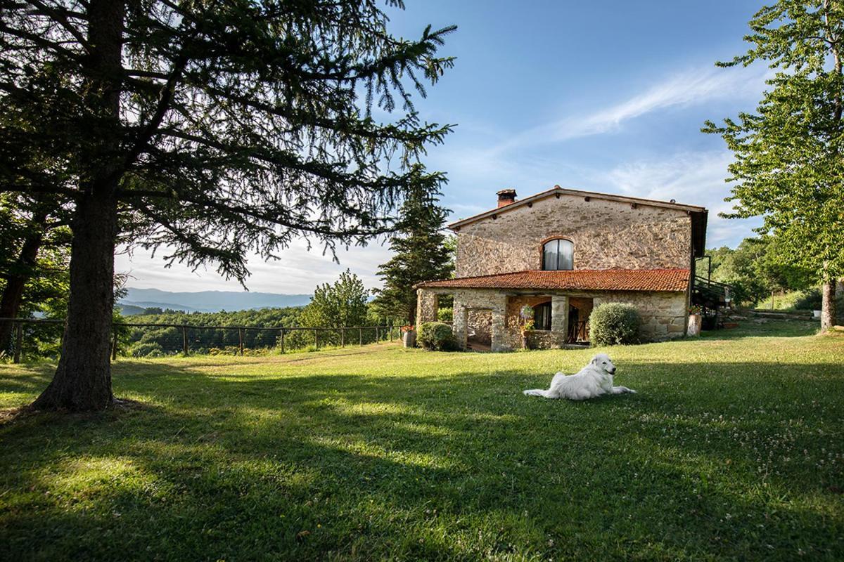 Ferienwohnung Piancasalemia Londa Exterior foto